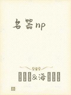 名器np