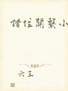 错位关系小说