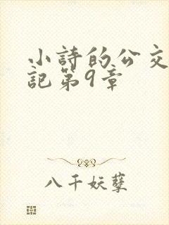 小诗的公交车日记第9章
