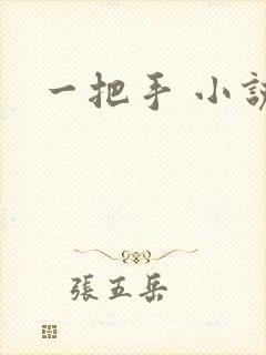 一把手 小说