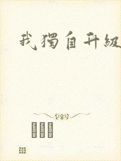 我独自升级2