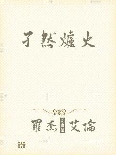 孑然炉火
