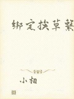 绑定挨草系统后