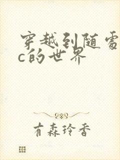 穿越到随处可以c的世界