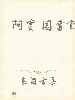 阿宾 图书馆
