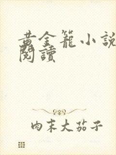 黄金笼小说免费阅读封面