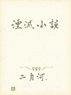 湮灭小说