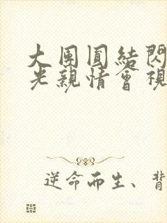 大团圆结闪闪发光亲情会视频封面