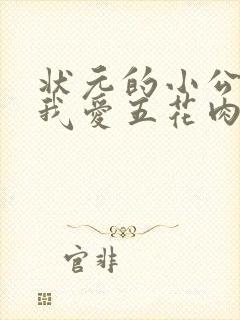 状元的小公主(我爱五花肉)