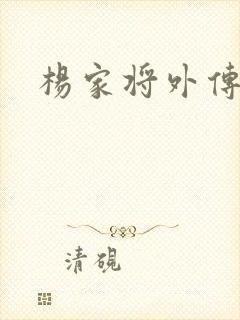 杨家将外传