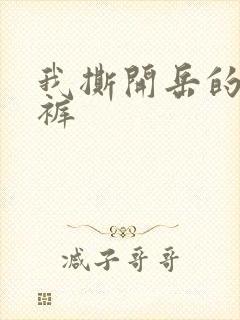 我撕开岳的丁字裤封面