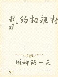 我的相亲对象是xl封面
