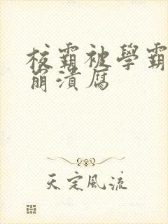 校霸被学霸玩到崩溃腐