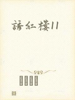 诱红楼11封面