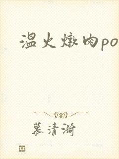 温火炖肉pop
