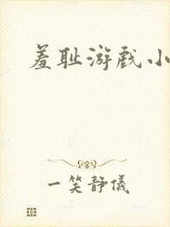 羞耻游戏小说