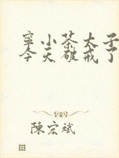 宁小茶太子殿下今天破戒了吗免费阅读