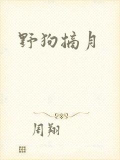 野狗摘月