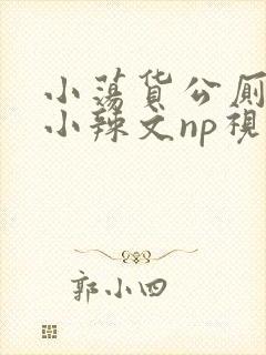 小荡货公厕h文小辣文np视频