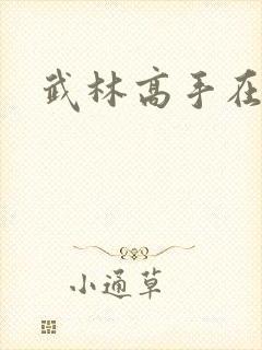 武林高手在异界