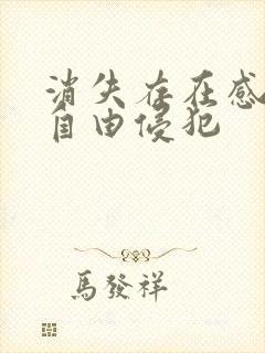 消失存在感消失自由侵犯封面