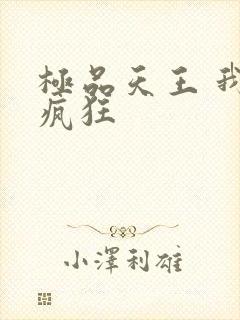 极品天王 我本疯狂