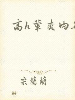 高h荤爽肉欲文