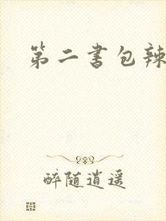 第二书包辣文封面