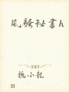 风骚秘书h
