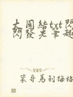 大团结txt闪闪发光笔趣阁