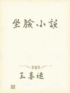 坐脸小说