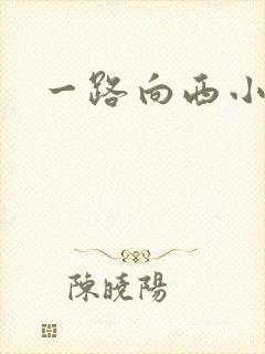 一路向西小说