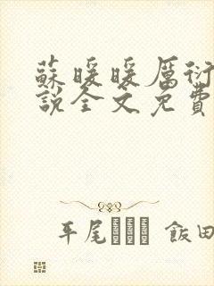 苏暖暖厉衍琛小说全文免费阅读