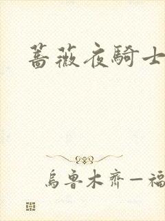 蔷薇夜骑士