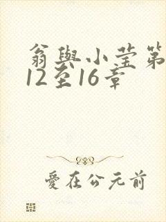 翁与小莹第十部12至16章