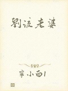 刘流老婆封面