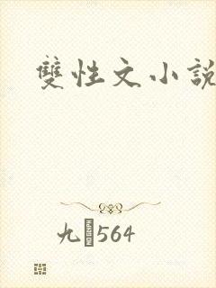 双性文小说封面