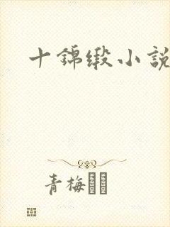 十锦缎小说