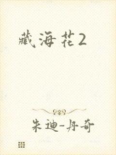 藏海花2