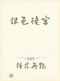 银色后宫