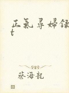 正气寻妇录txt