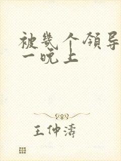 被几个领导玩弄一晚上