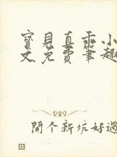 宝贝真乖小说全文免费笔趣阁封面