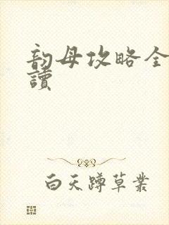 韵母攻略全文阅读