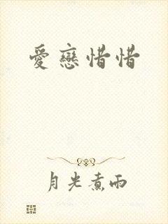 爱恋惜惜