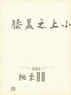 膝盖之上小说封面