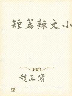 短篇辣文小说封面