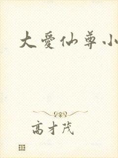 大爱仙尊小说