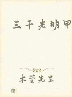 三千光明甲封面