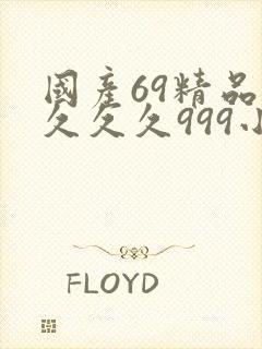 国产69精品久久久久999小说封面